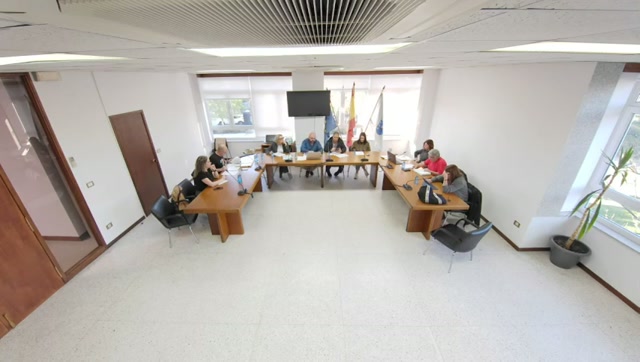 poster Pleno Extraordinario Marzo